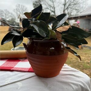 Vintage Brown Ceramic Planter